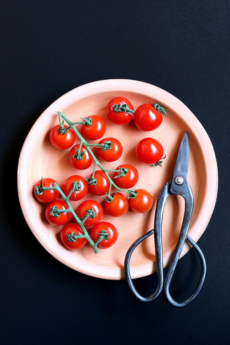 Tomates cherry en rama recién cortados sobre un plato de cerámica