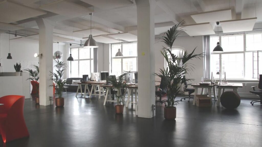 Sala luminosa de Ruda, con grandes ventanales, plantas y suelo de cemento pulido