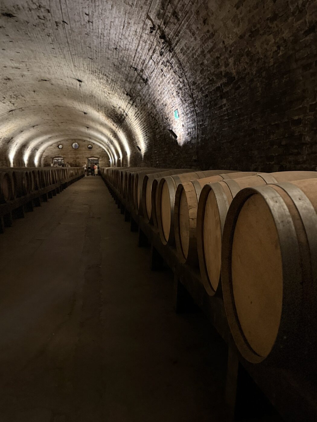 Bodega abovedada de Casa Berrocal con las barricas de la casa